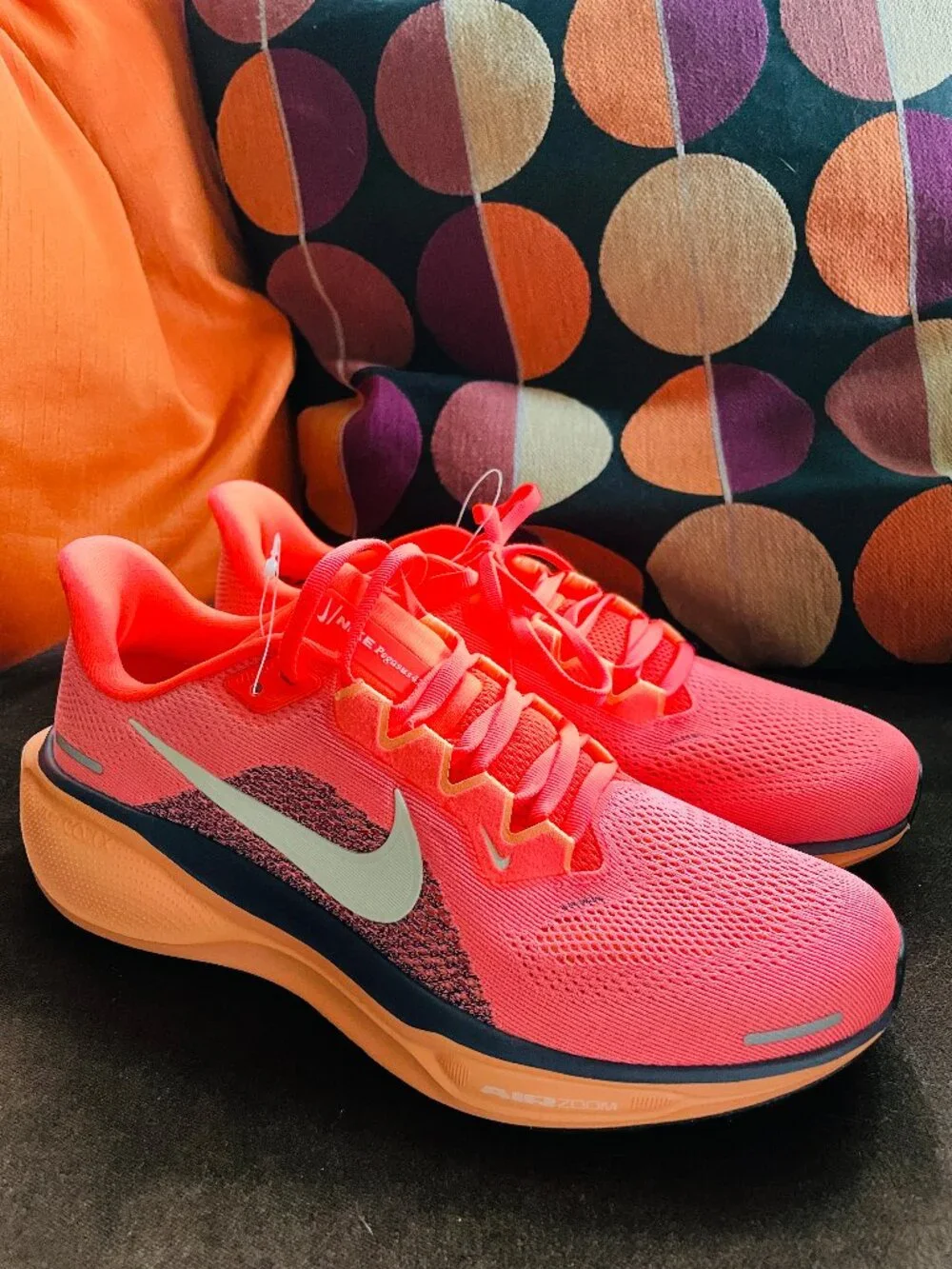 NEW Woman's Sneakers & Athletic Shoes Nike Pegasus 41 Special Edition Unreleased
